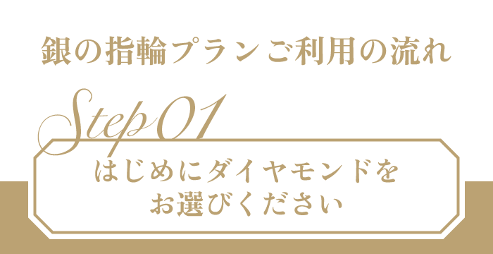 銀の指輪プラン３