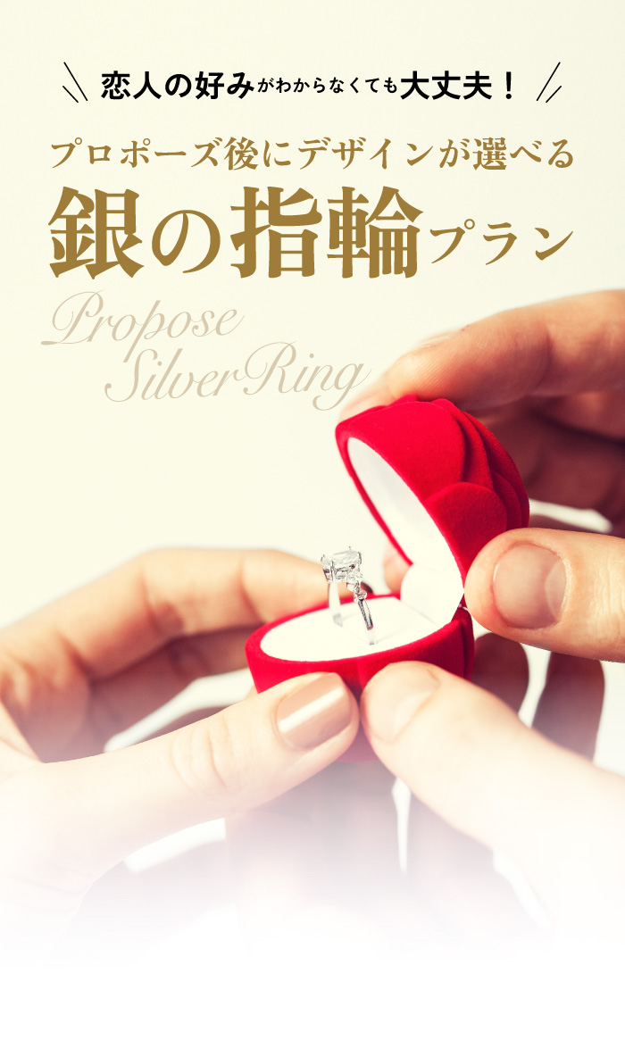 銀の指輪プラン１