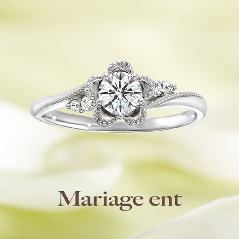 Noblesse　ノブレッセ