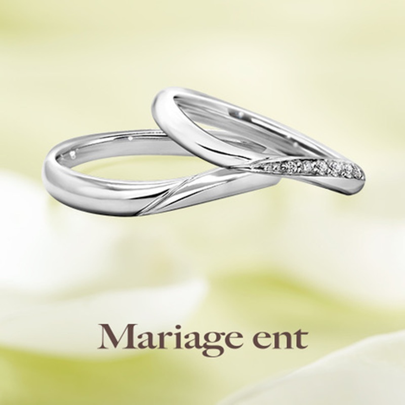 Venus　ビーナス