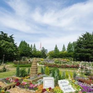 大阪gardenのサプライズプロポーズ 靭公園