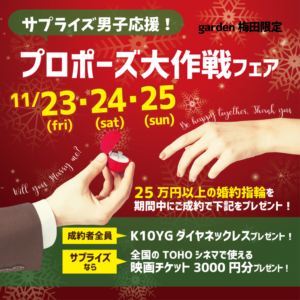 11/23～25　3日間限定！エンゲージリング＆プロポーズ大作戦フェア