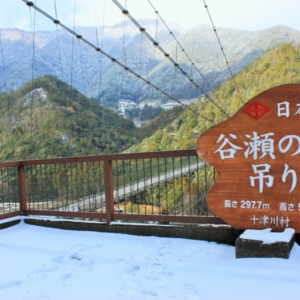 大阪のサプライズプロポーズ 谷瀬の吊り橋