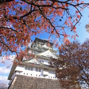秋のプロポーズに人気の大阪城公園