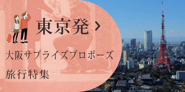 東京発！大阪旅行でサプライズプロポーズプラン！一生に一度のプロポーズを応援します！