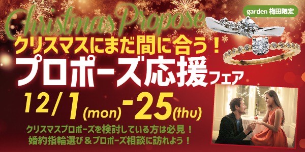 クリスマスにまだ間に合う！プロポーズ応援フェア