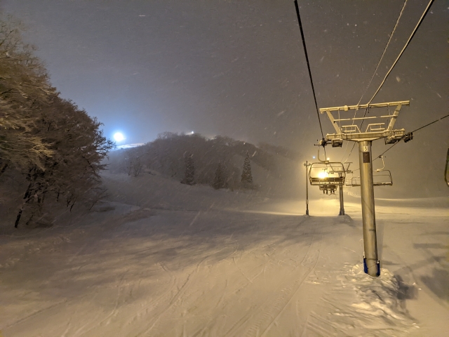 ゲレンデでプロポーズ-ダイナランド-