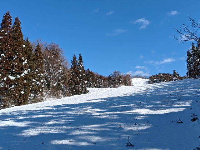 ゲレンデでプロポーズ-スキージャム勝山-