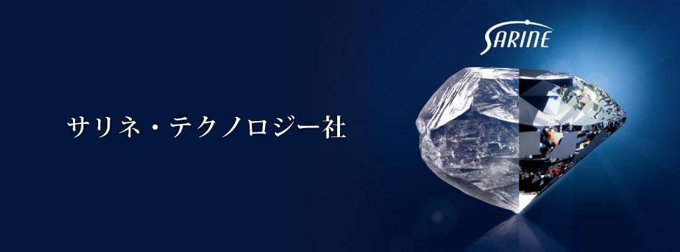 サリネテクノロジー社